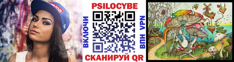 Псилоцибиновые грибы Psilocybine cubensis  закладки  Оренбург 
